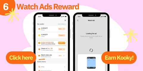 广告赚 Kooky 入口
